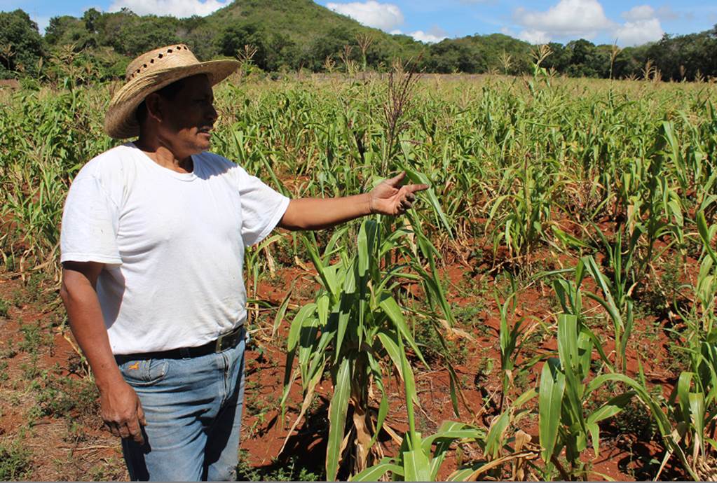 Decisión del gobierno de cerrar Financiera Rural, dejará incertidumbre en los productores: GCMA