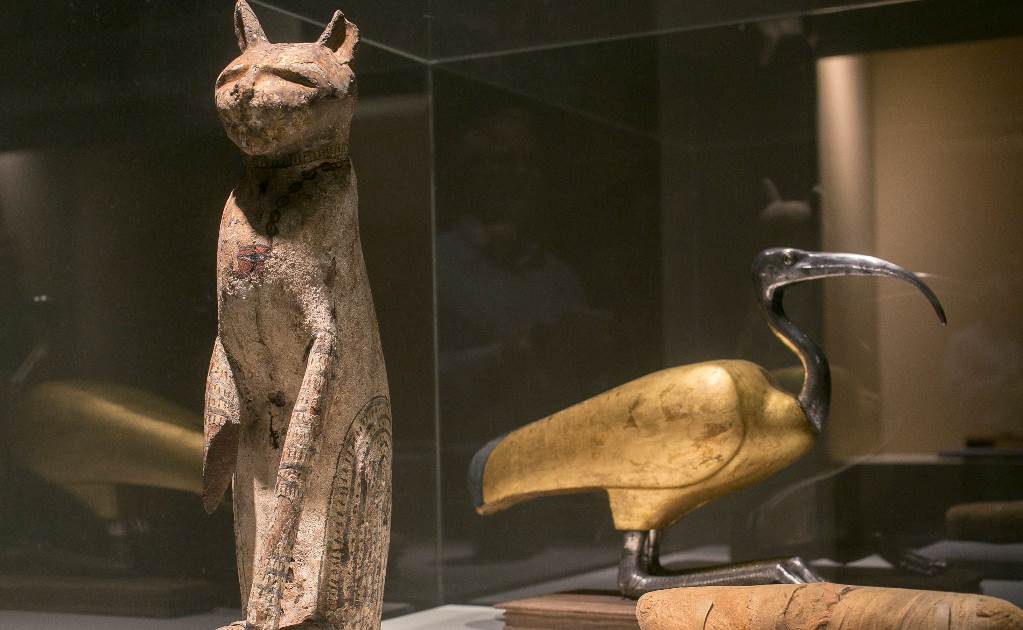 Un tercio de momias animales egipcias estaban vacías