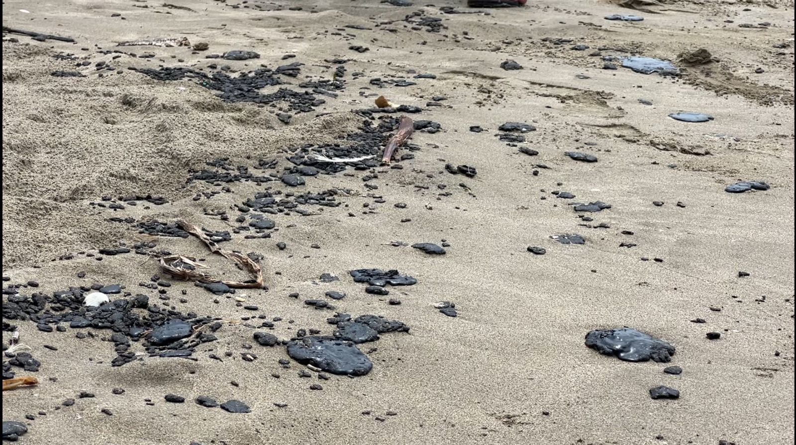 Llega chapopote a comunidades de Tabasco tras derrame de hidrocarburos en el Golfo de México