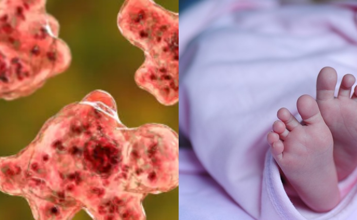 Bebé de dos años fallece en Nevada a causa de una rara ameba "come" cerebros