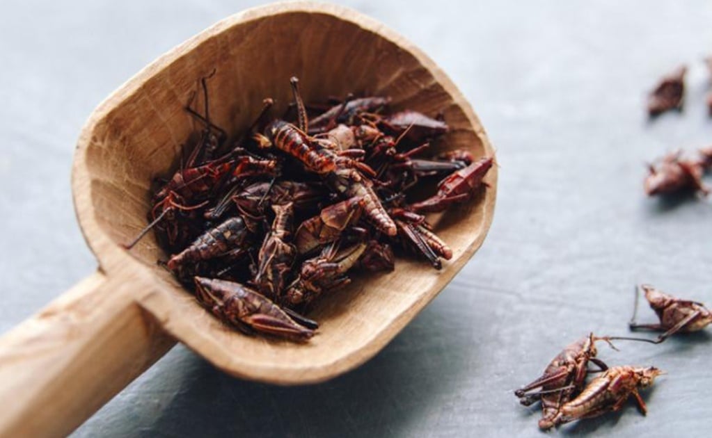 5 health benefits of grasshoppers