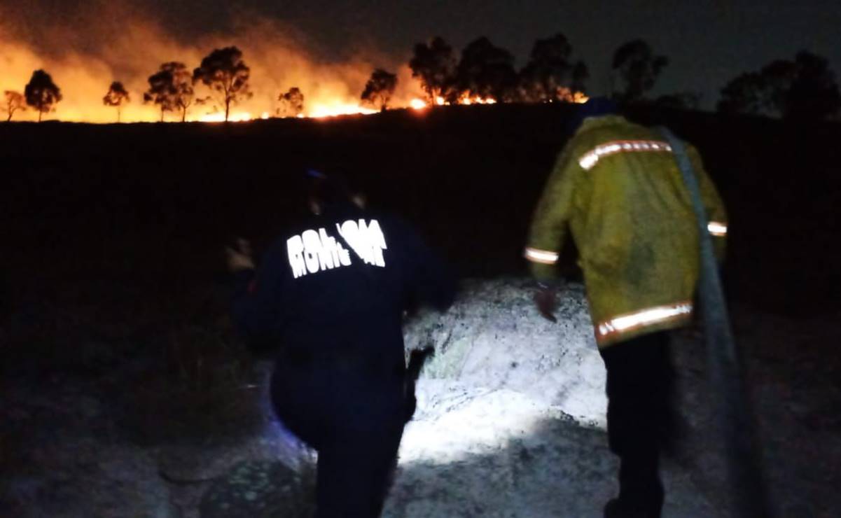 Incendio forestal consume 20 hectáreas en reserva ecológica entre Tlalnepantla y Tultitlán