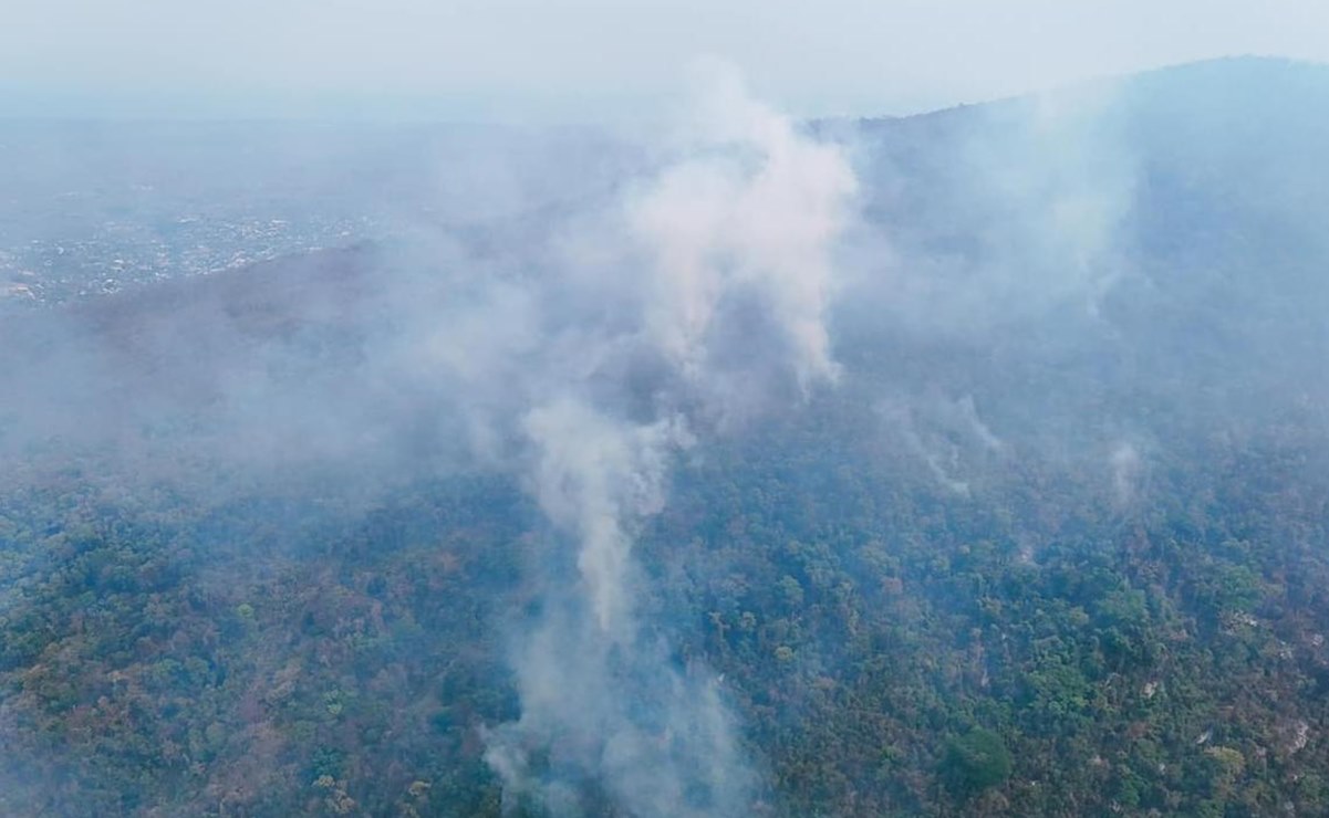 Oaxaca: 24 incendios activos consumen miles de hectáreas de bosque