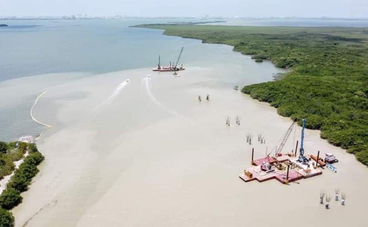 Denuncian ante Profepa tala de manglares por construcción de Puente Nichupté en Cancún