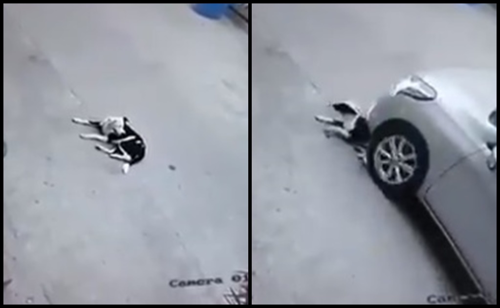 Captan en video cómo conductor atropella a perrita y huye en Nuevo León