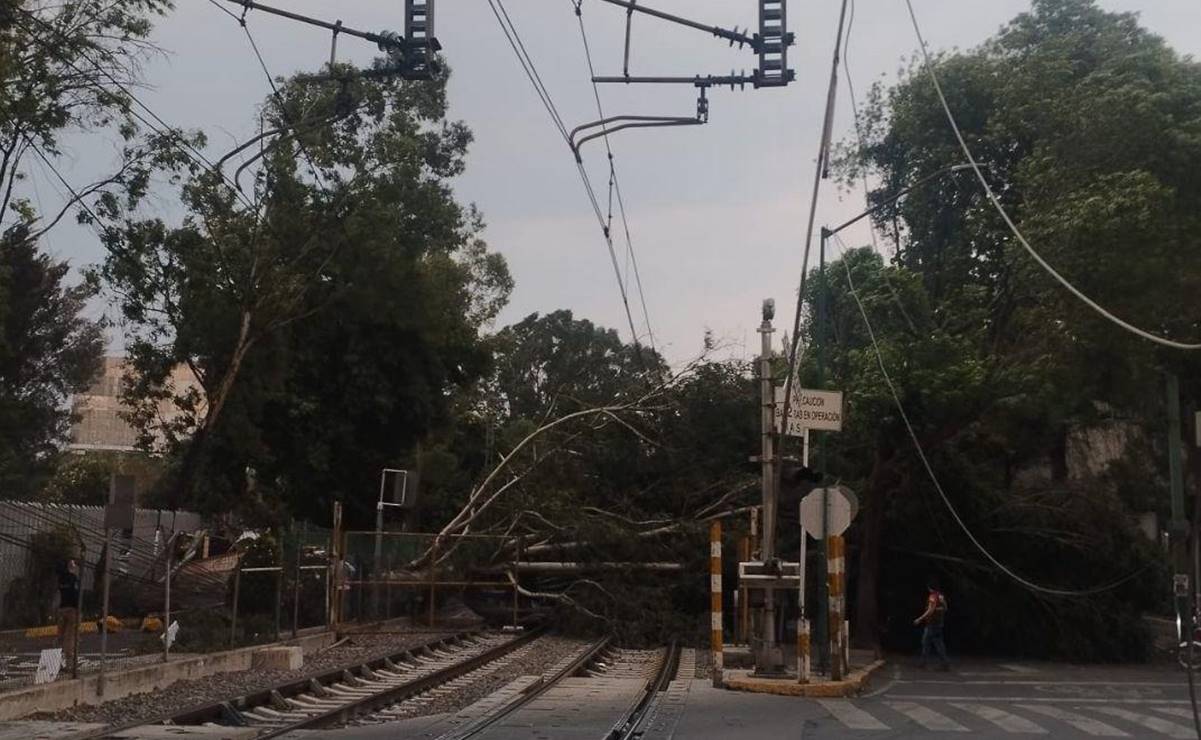 Tren Ligero opera con normalidad tras incidente en tramo Estadio Azteca-Xochimilco