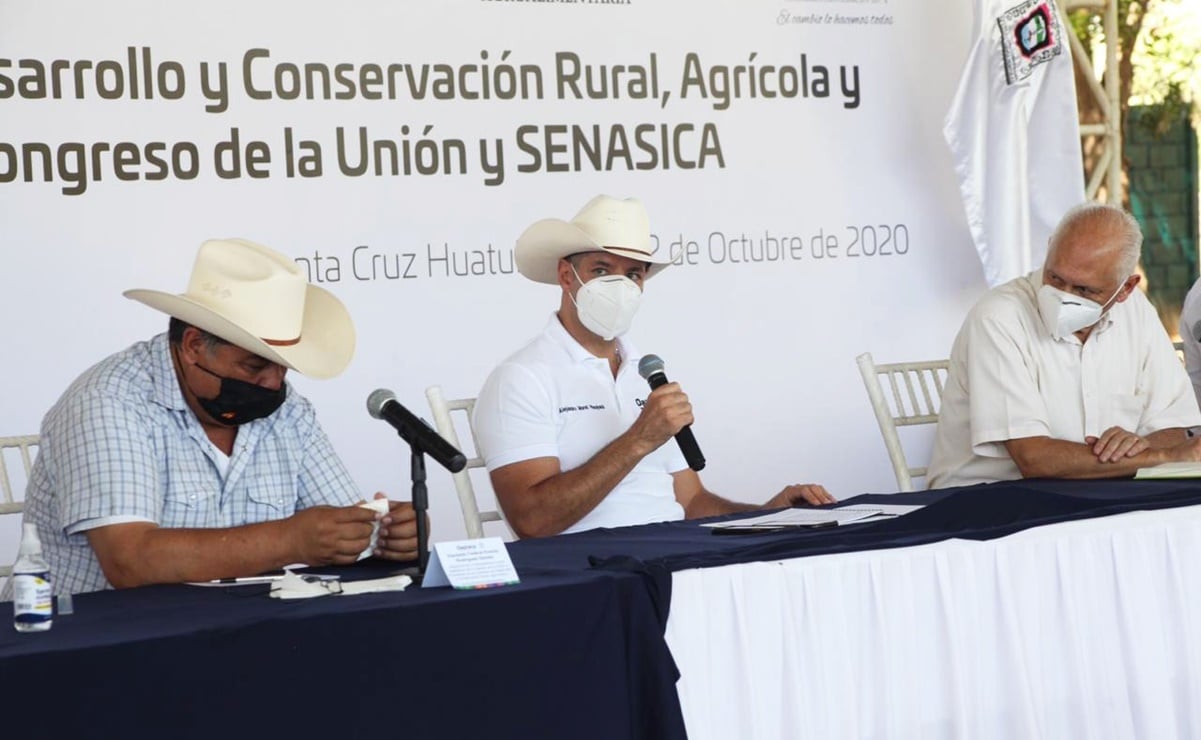 Acuerdan capacitación para reactivar sector agropecuario en Oaxaca