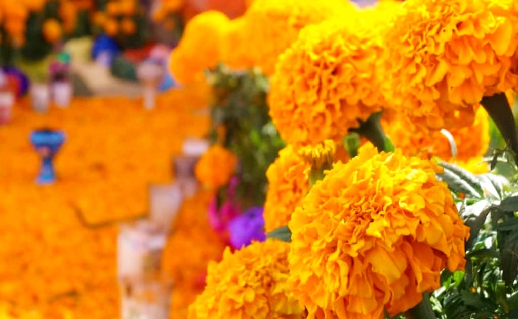 Flower Festival in downtown Mexico City