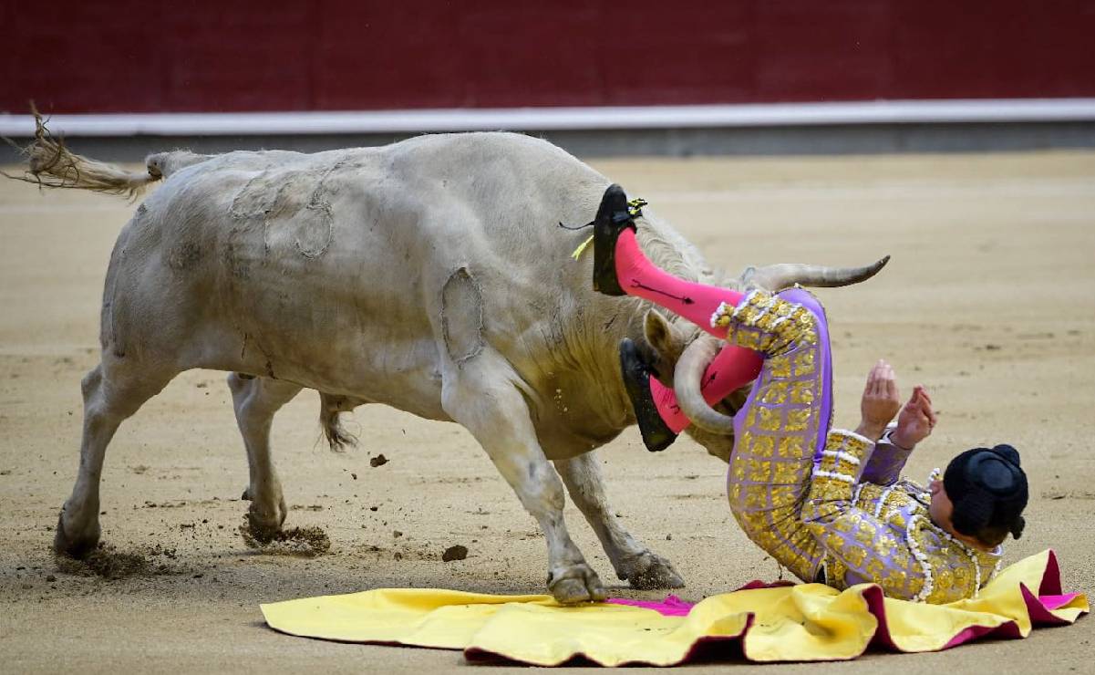 Torero recibe grave cornada en la pierna durante una corrida en Madrid, España