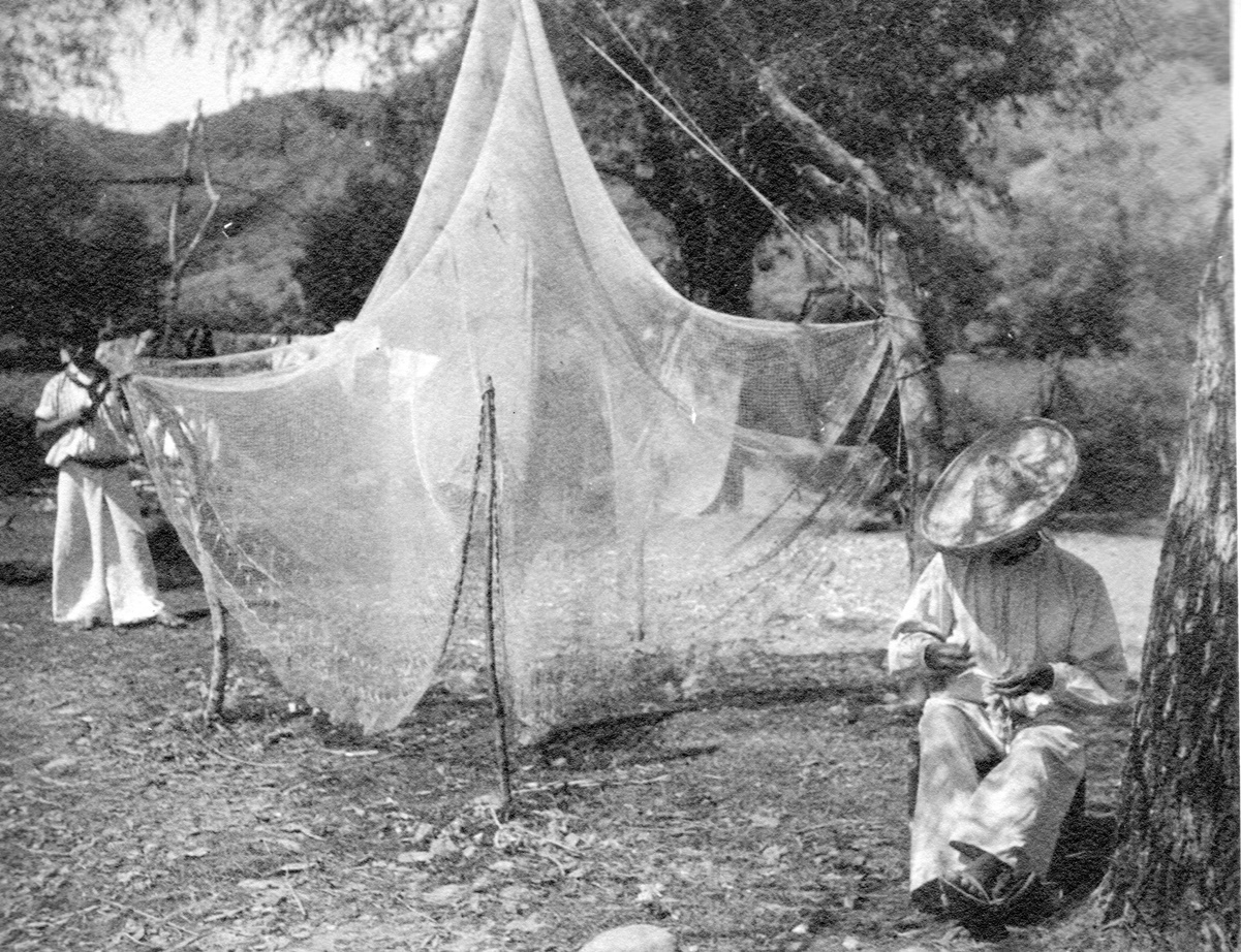 Don Salvador Elizondo Pani se acerca a la literatura y la fotografía (IV)