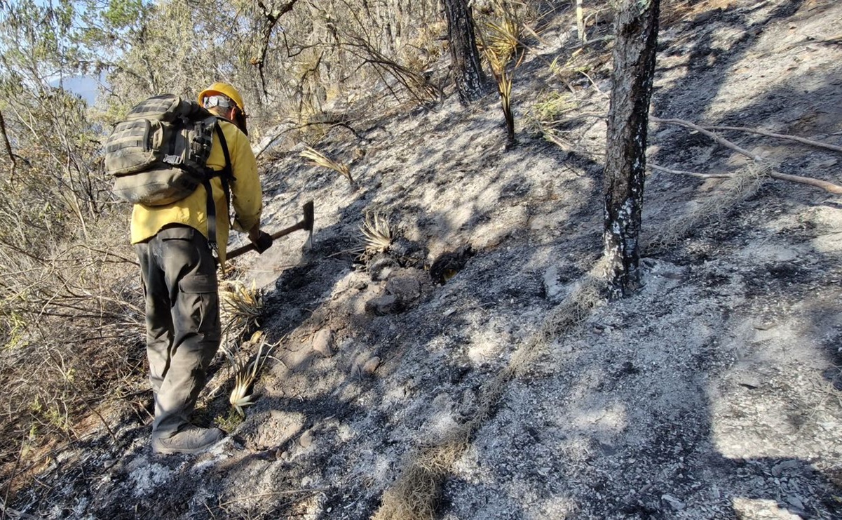 Liquidan incendio forestal en Zaragoza, Nuevo León; afectó 31 hectáreas