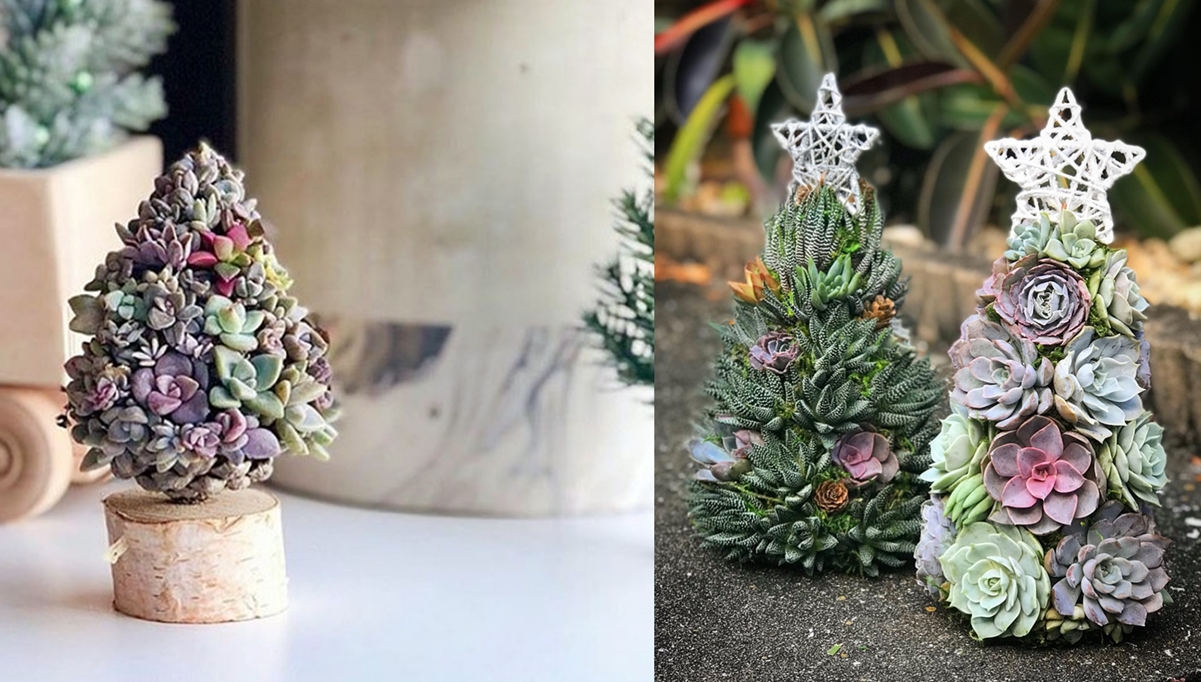 Los árboles de Navidad con suculentas que serán tu nuevo objeto de deseo