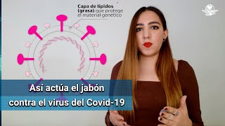 ¿Qué le hace el jabón al virus del Covid-19?