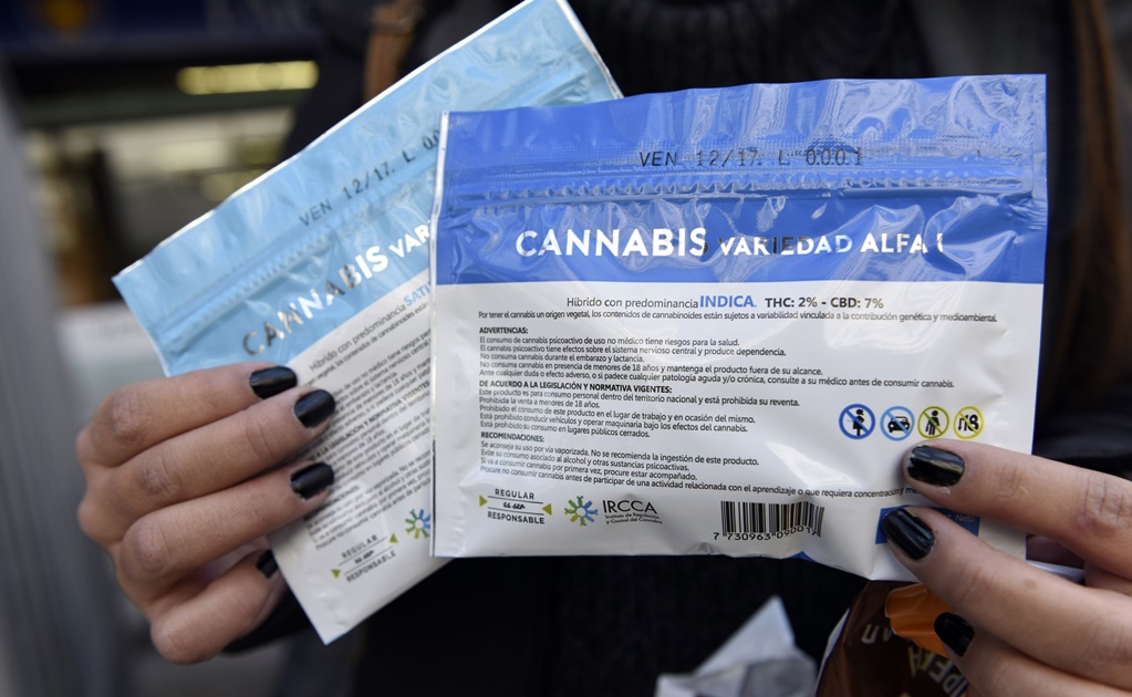 A meses de legalizar la marihuana, Uruguay autoriza cannabis medicinal