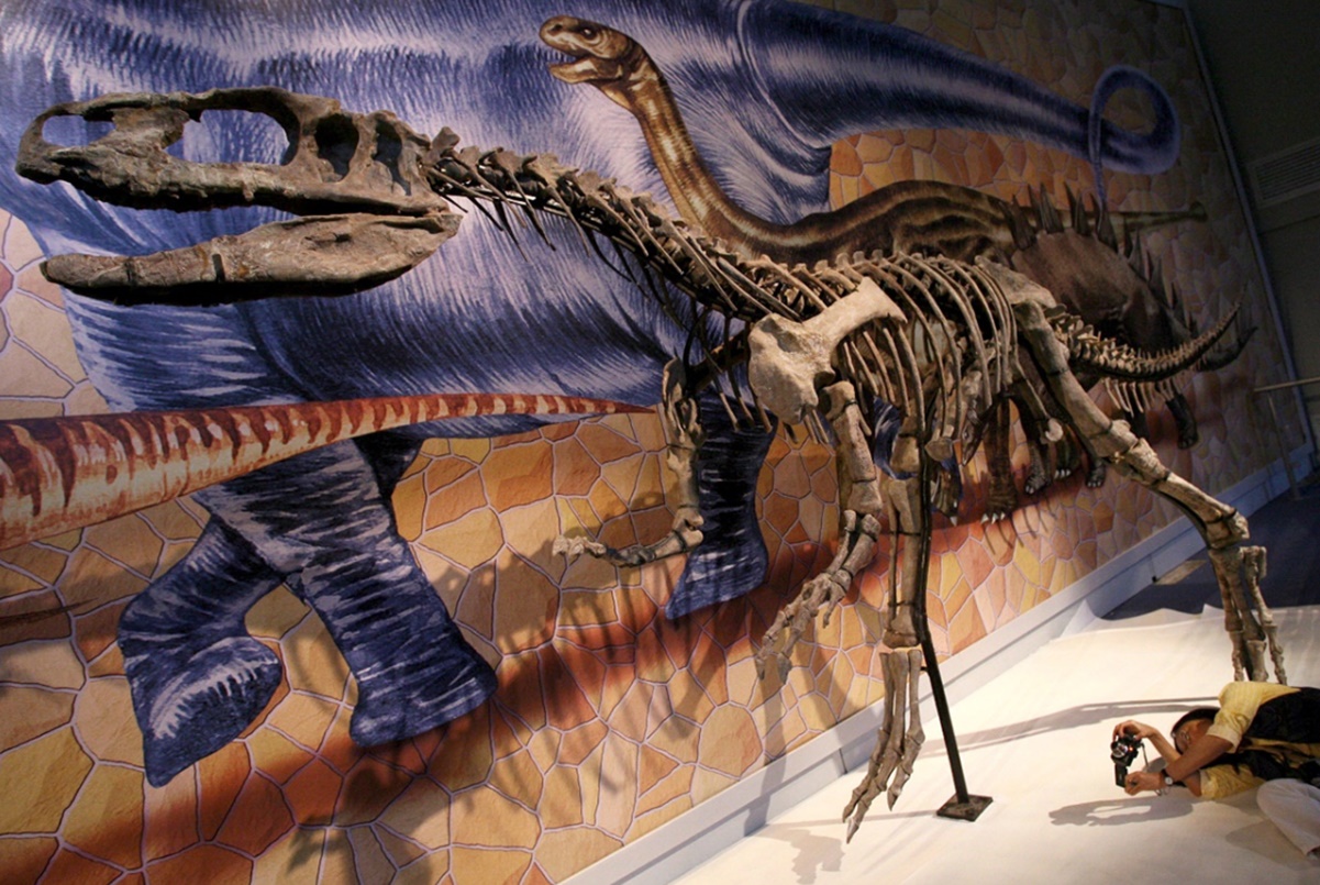 La extinción de los dinosaurios comenzó 10 millones de años antes del choque de asteroide 