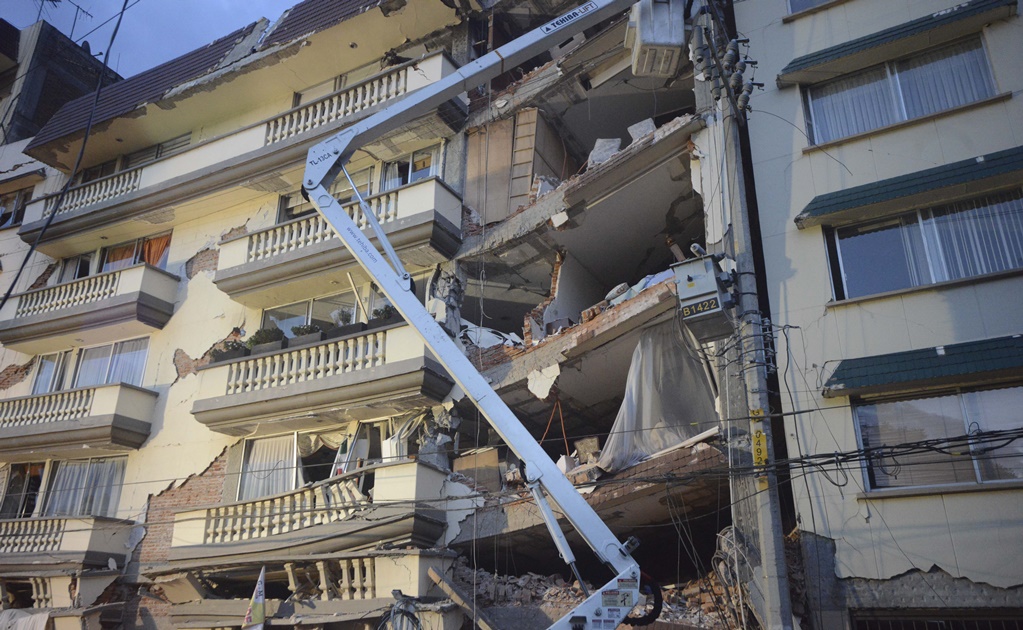 Rescatan a gato entre escombros de edificio en Coquimbo