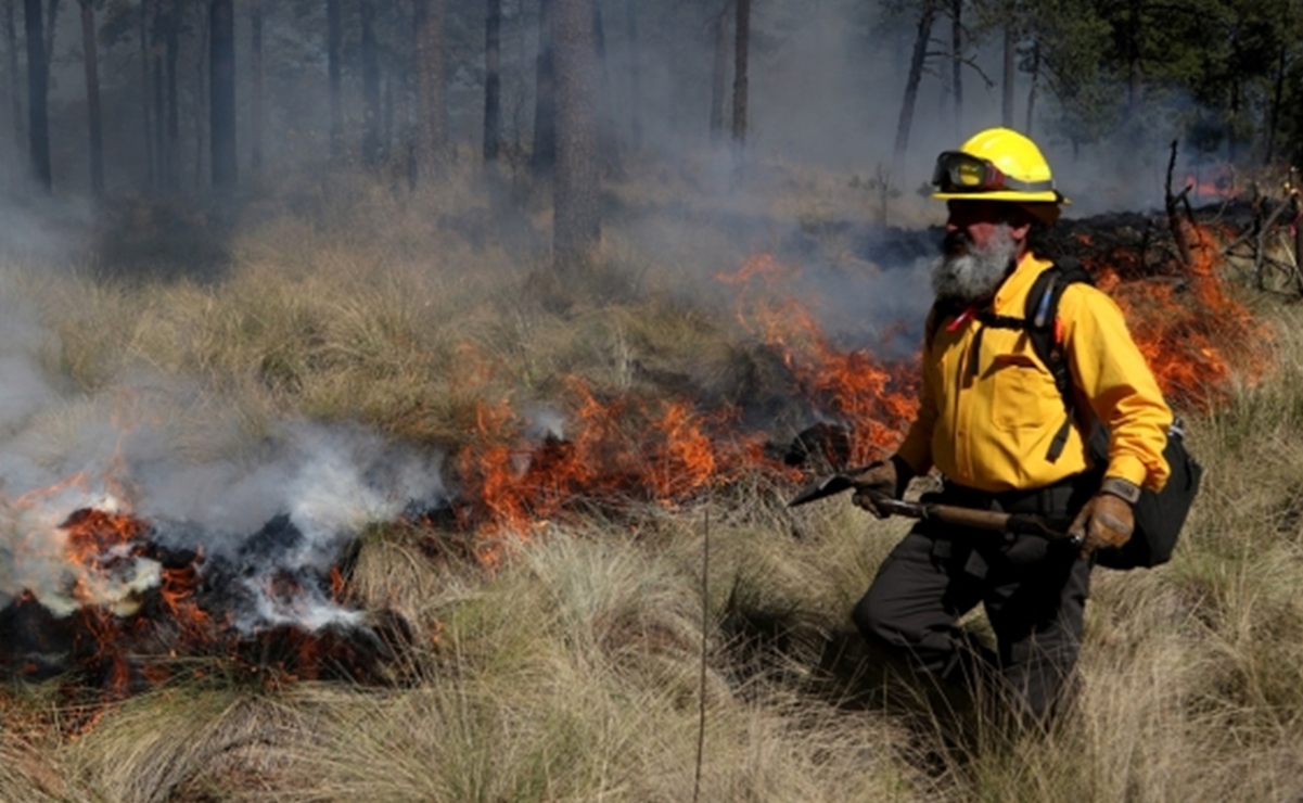 Combaten incendios forestales en Veracruz y NL 