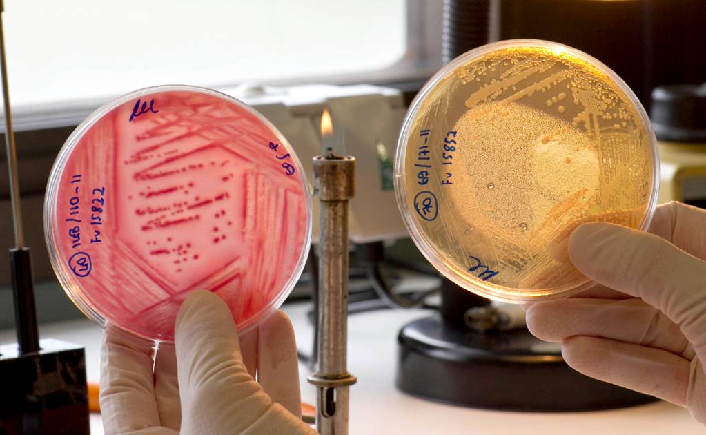 Detectan gen que resiste a último antibiótico efectivo