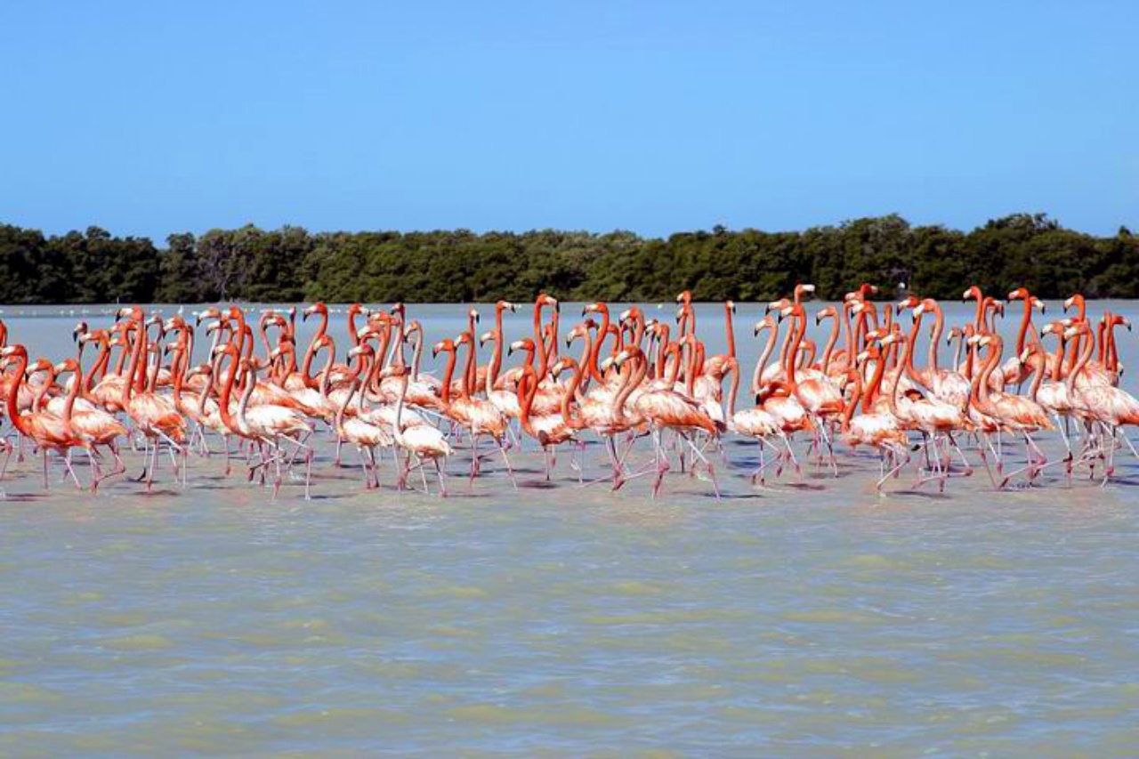 3 playas semivírgenes y poco conocidas por turistas en México