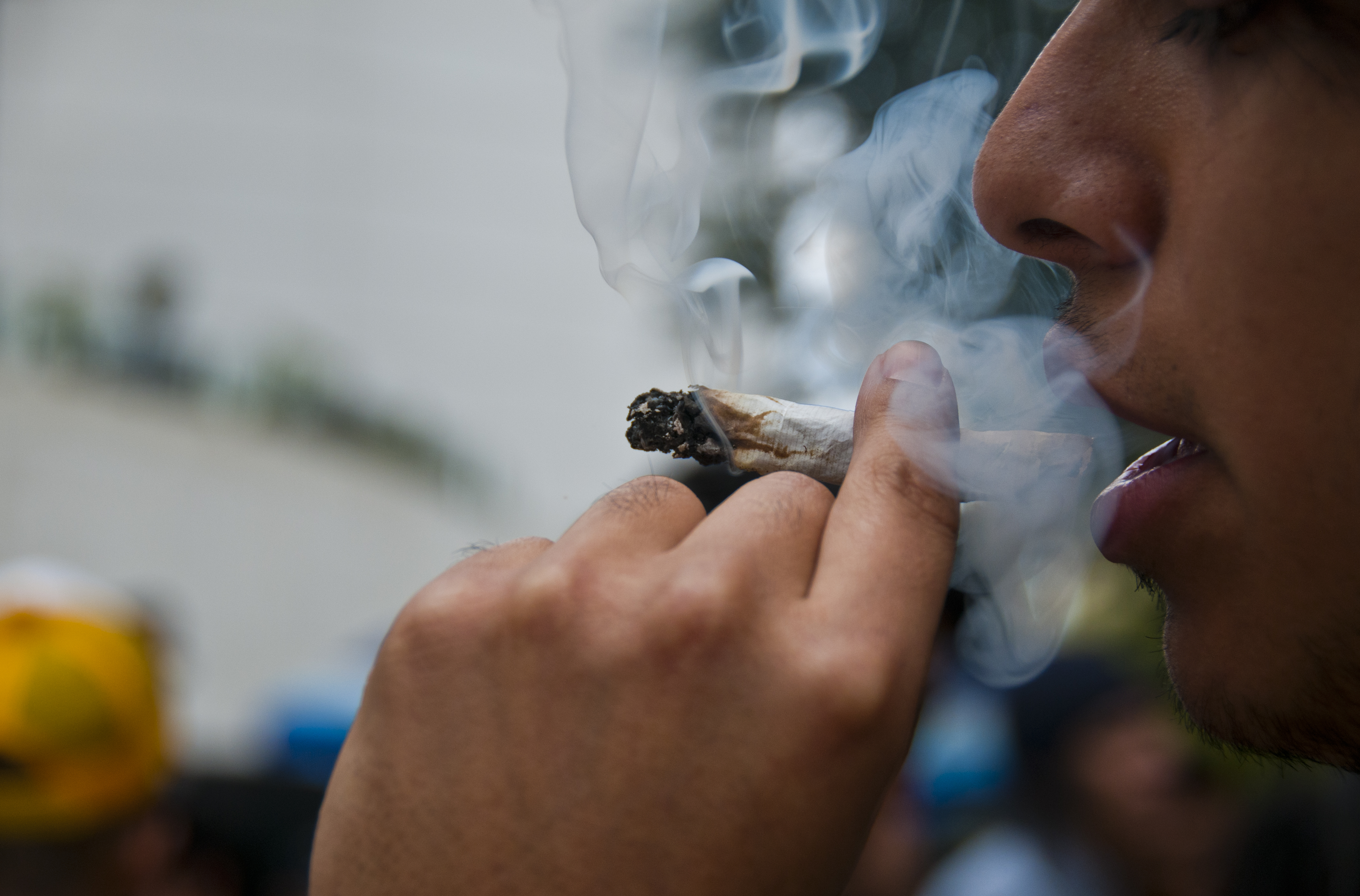 Cofepris recibe 57 solicitudes para uso recreativo de marihuana