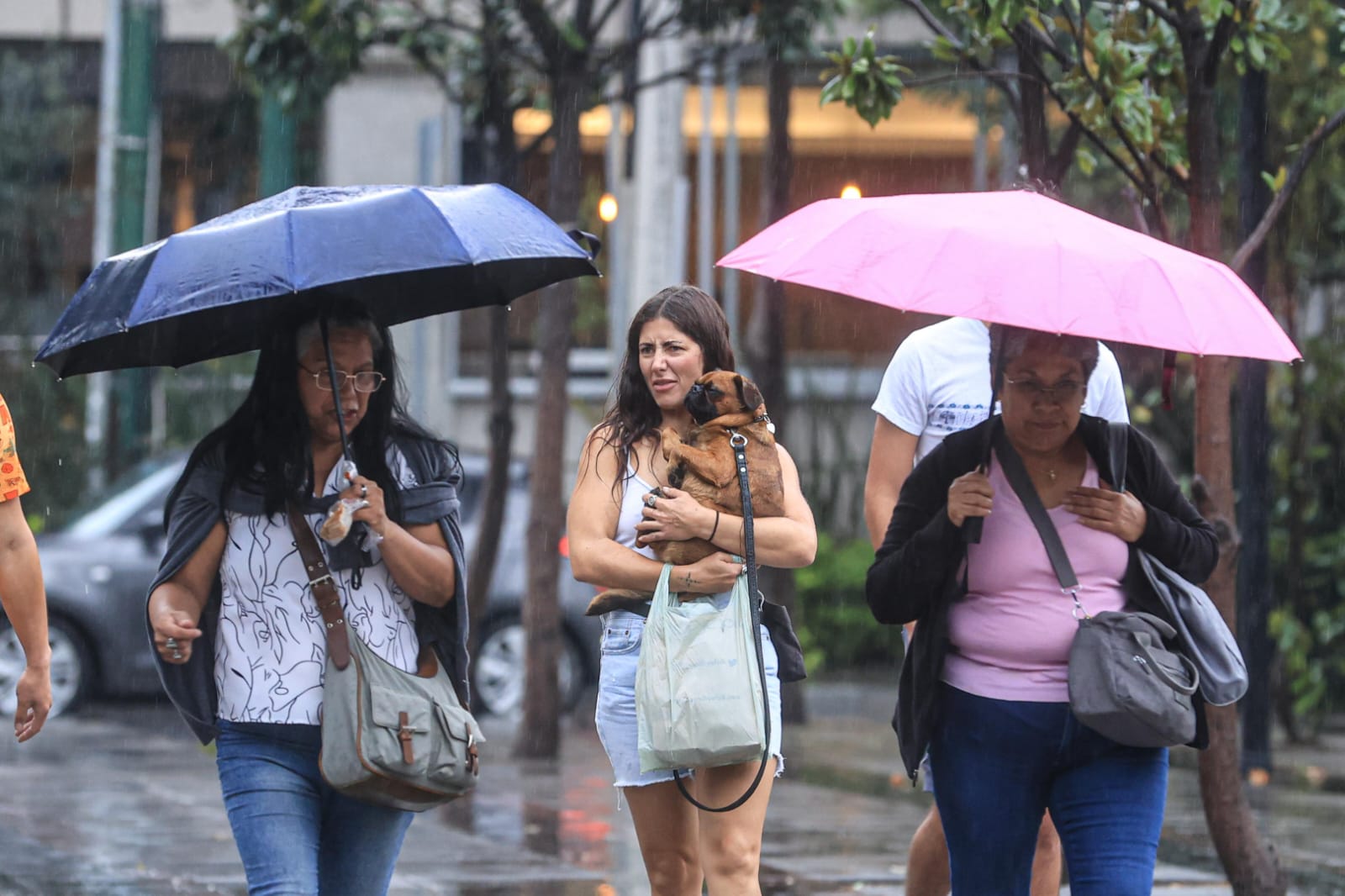 Pronostican lluvias para todo el país este sábado; piden a la población mantenerse alerta