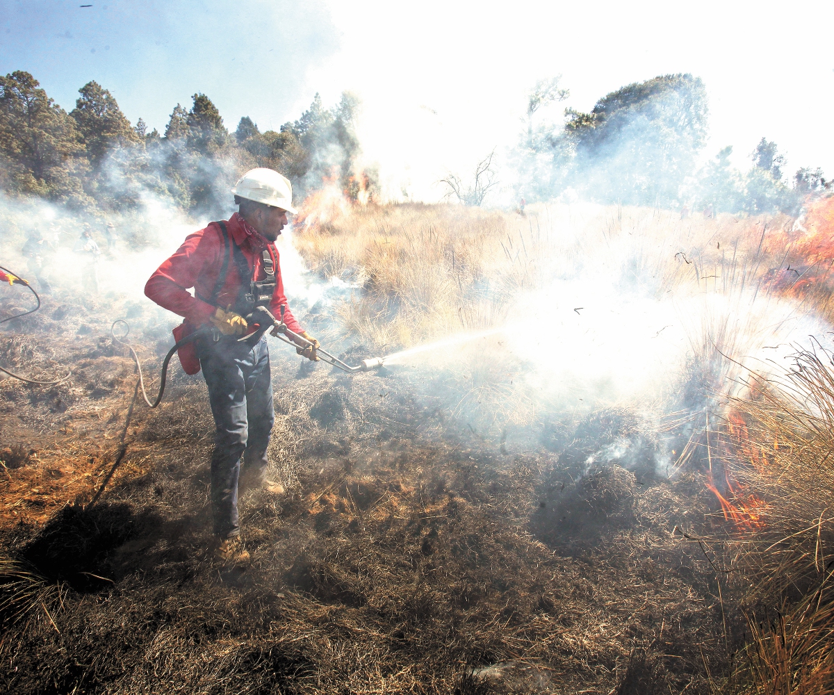 Arden CDMX y Edomex por incendios forestales