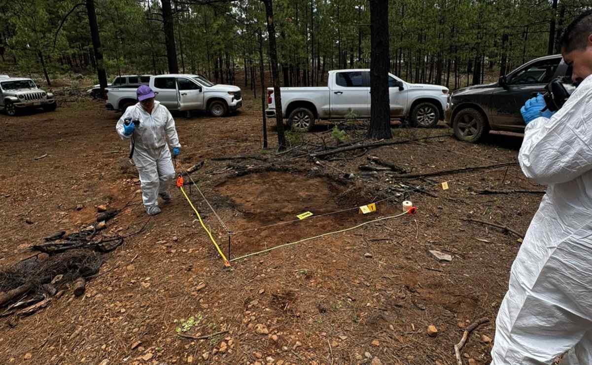 Encuentran más de 700 fragmentos óseos en el ejido "El Dos” en Madera, Chihuahua