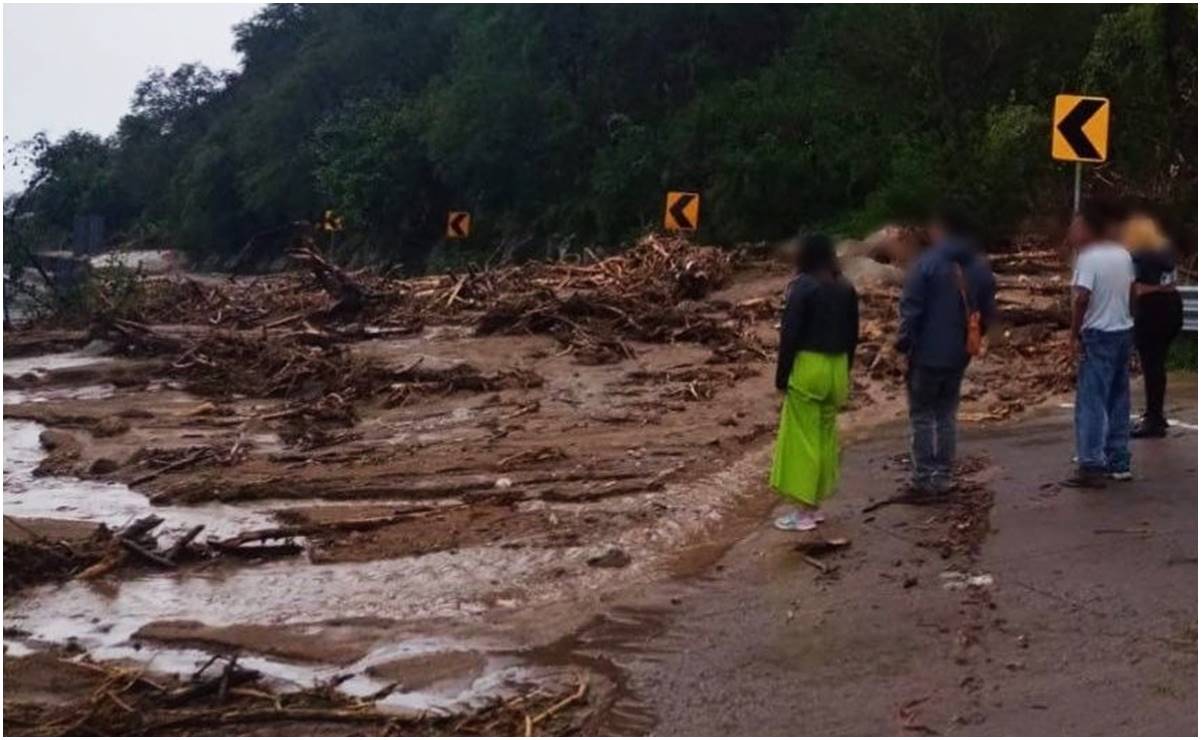 Carreteras dañadas, sin luz y telefonía, así las afectaciones por "Otis" en Guerrero