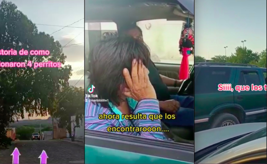 Video. Captan abandono de lomitos en Querétaro; se dan a la fuga