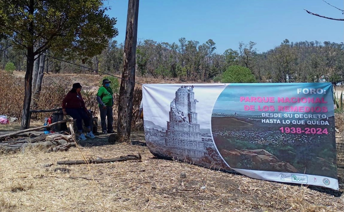 Parque Nacional Los Remedios cumple 86 años y ha perdido el 79% de su superficie original, denuncian vecinos