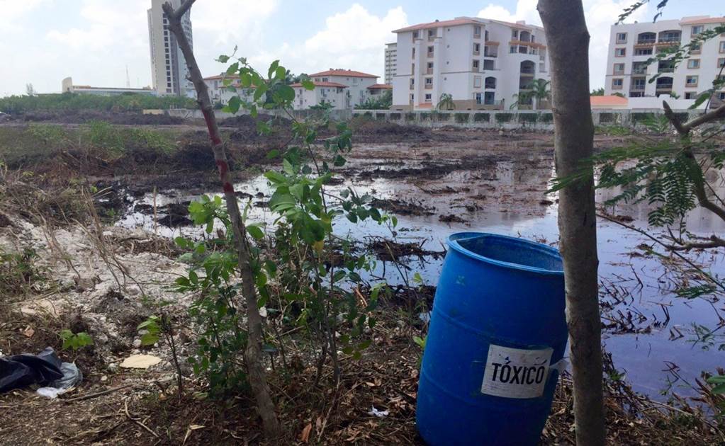 Investiga PGR-QRoo tala de manglares en Malecón Tajamar