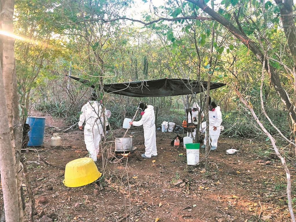 Fentanilo. Nueva mina de oro del narco