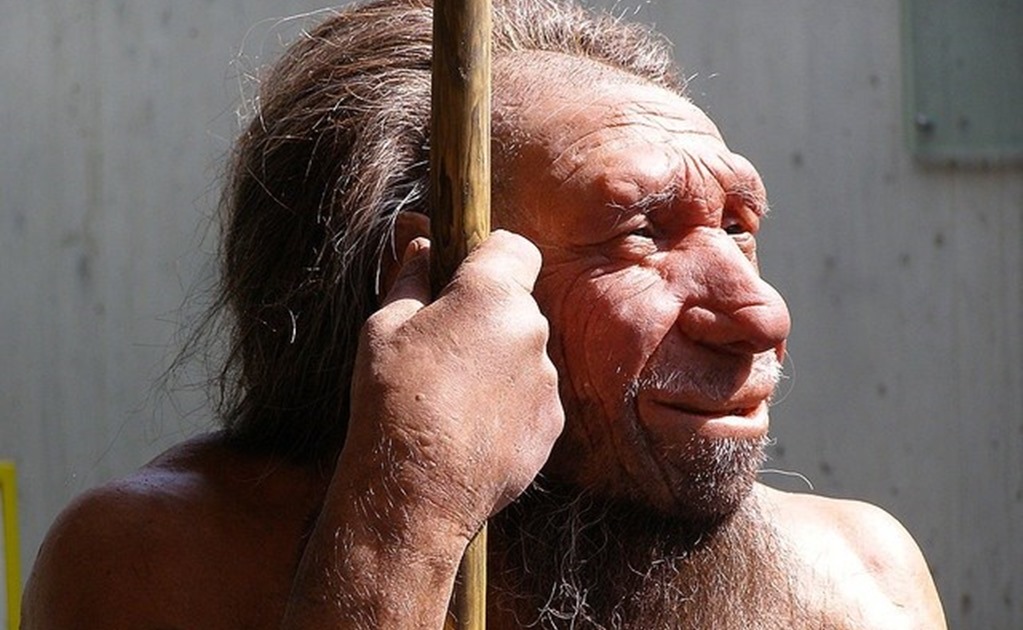 El frío pudo ser el culpable de la extinción de los neandertales