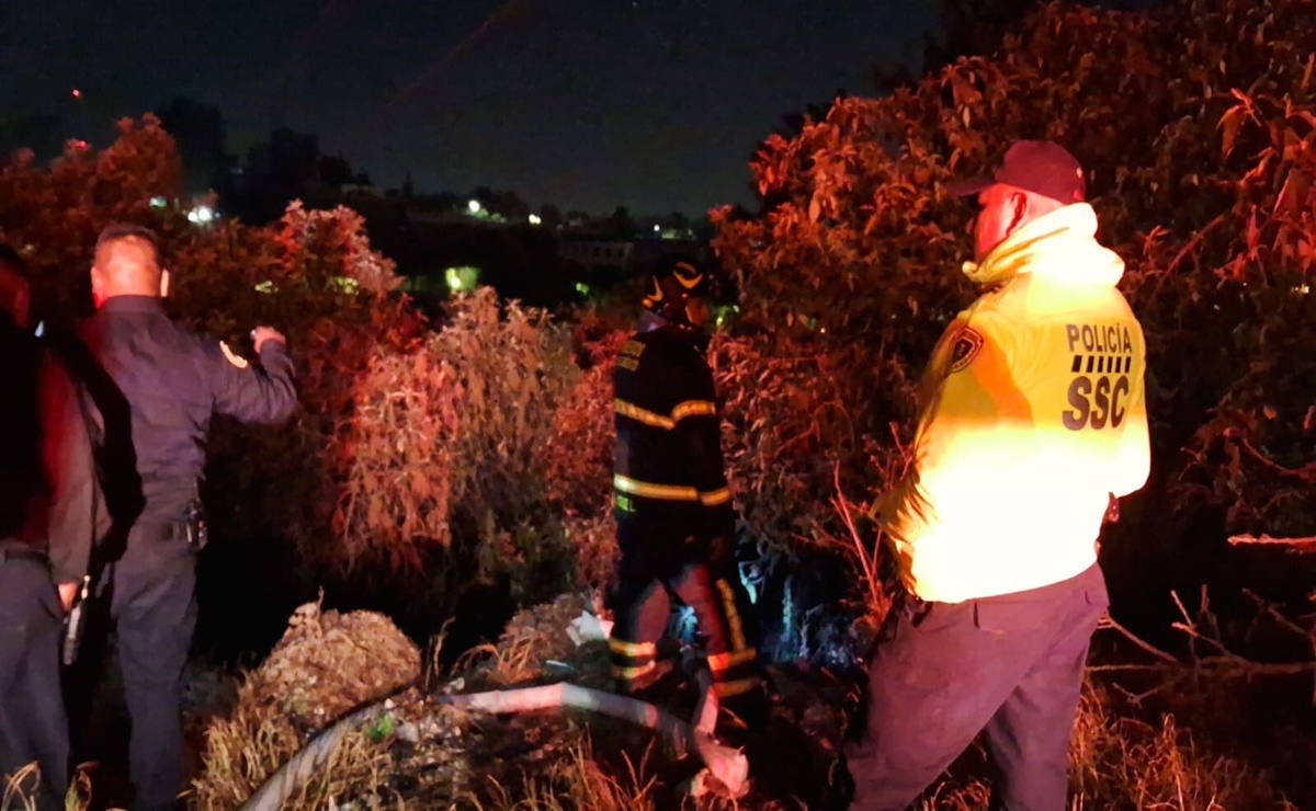 Bomberos de la CDMX controlan incendio en Bosque de Chapultepec