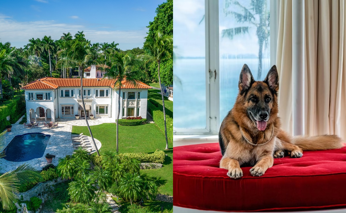 El perro más rico del mundo vende mansión en Miami por 32 millones de dólares