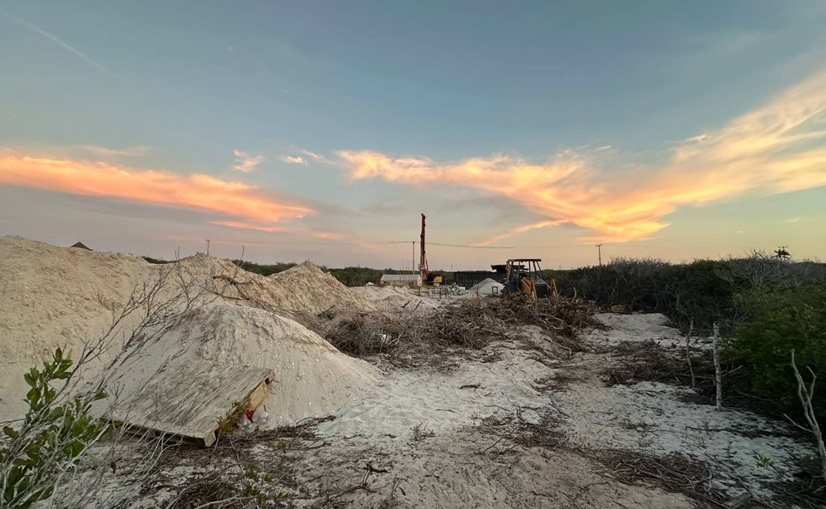 Ambientalistas denuncian daños ecológicos en 18 kilómetros de la costa yucateca