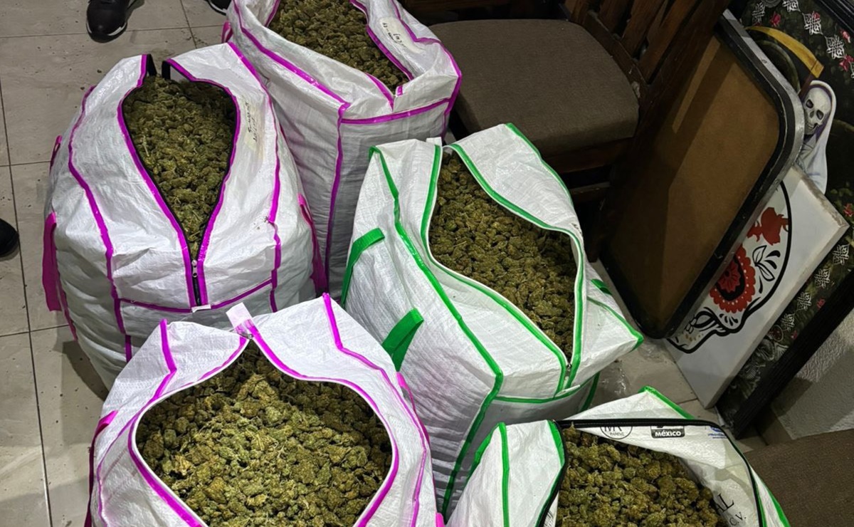 Aseguran 100 kilos de marihuana en colonia Morelos, alcaldía Venustiano Carranza