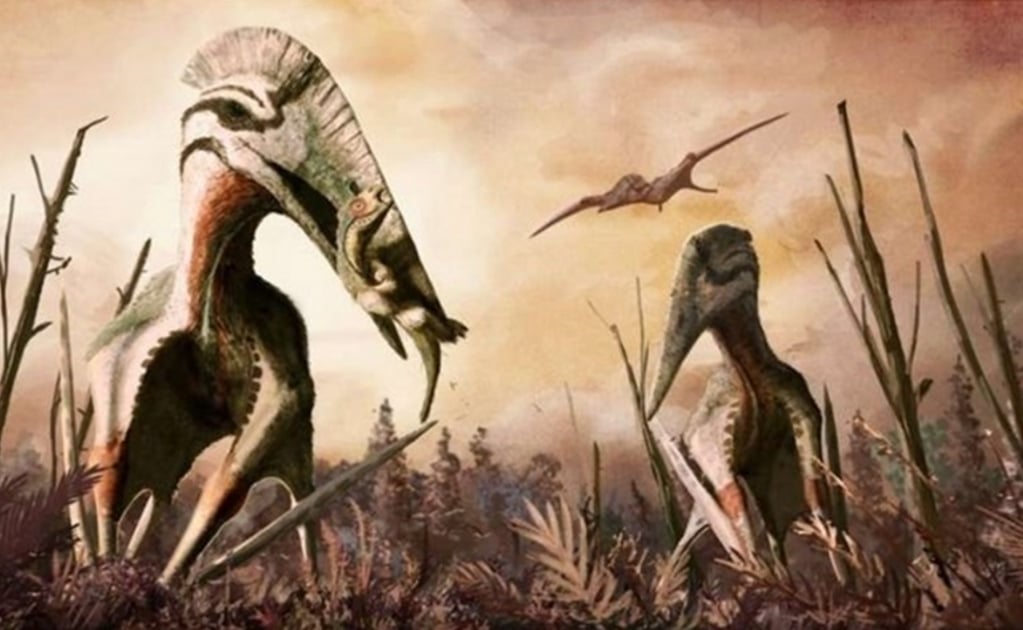 Encuentran fósiles de un pterosaurio gigante