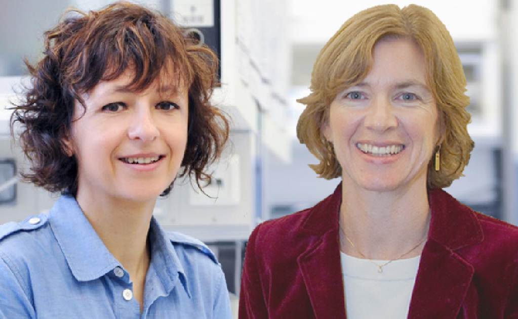 Charpentier y Doudna ganan Premio Princesa de Asturias en Investigación