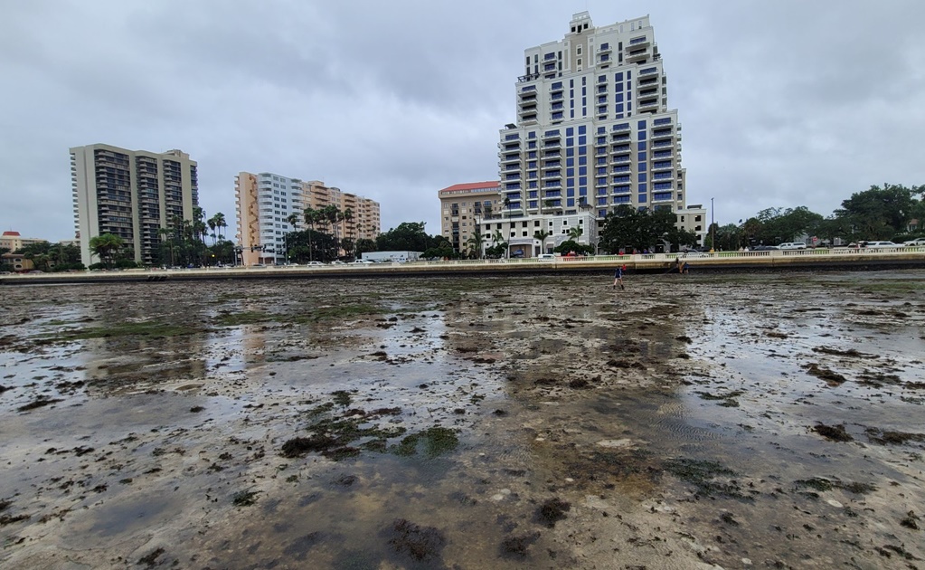 Así retrocede el agua de la bahía de Tampa tras paso del huracán "Ian" (fotos y videos)