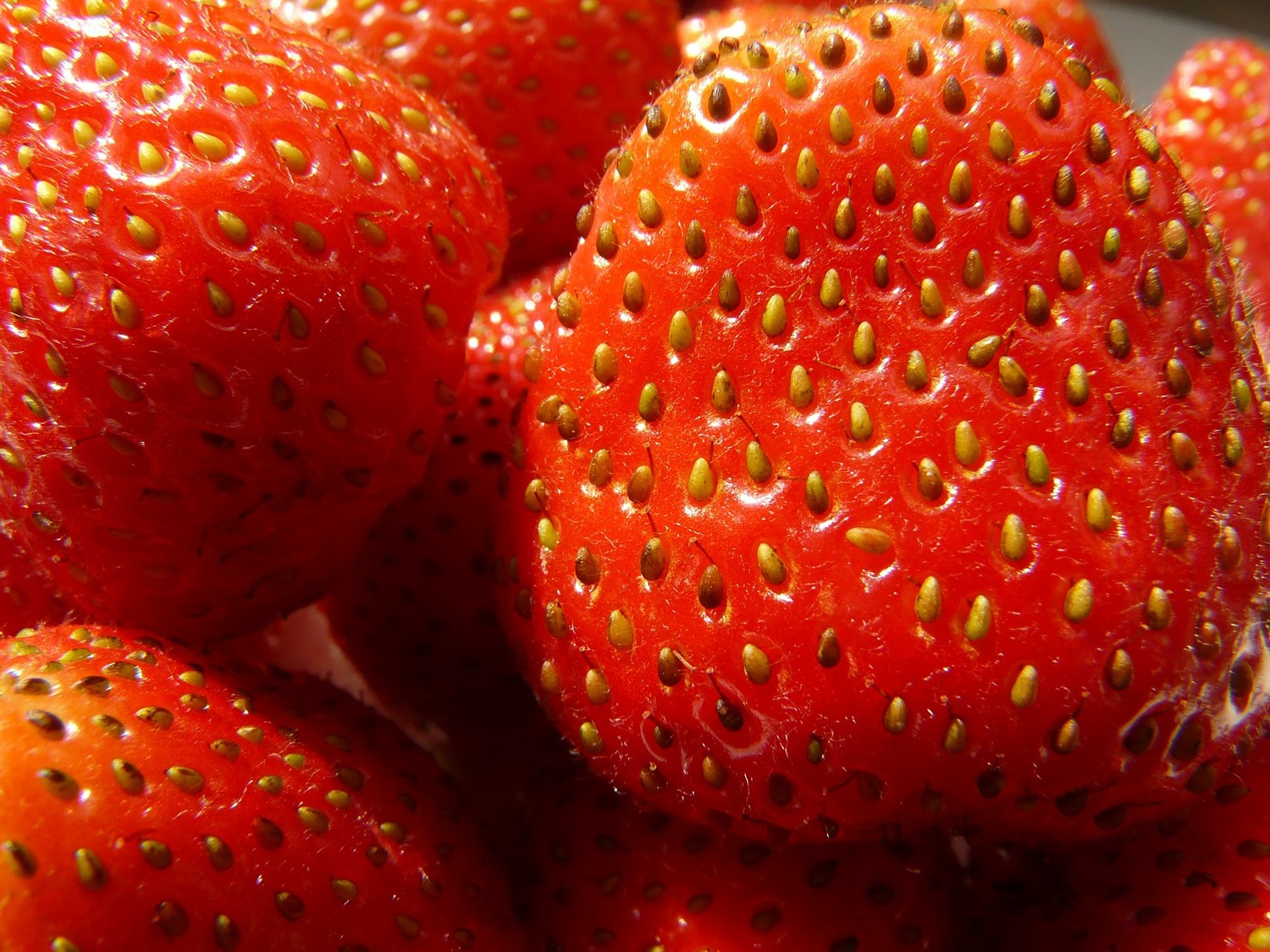 ¿Cómo desinfectar perfectamente las fresas?