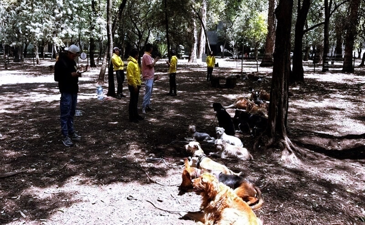 ¿Por qué cerraron el Parque Canino de Chapultepec? Vecinos exigen su reapertura