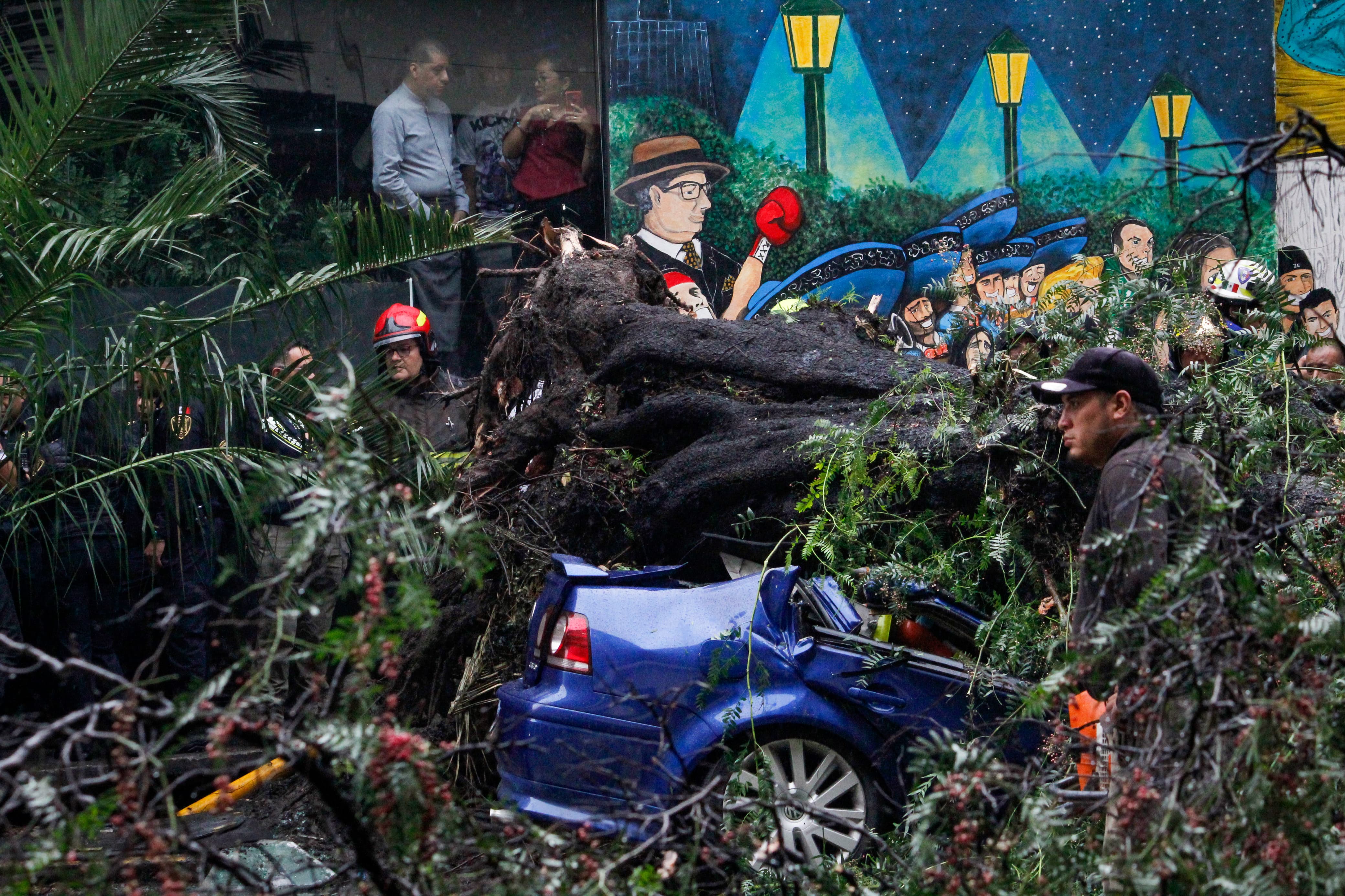 El milagro de la Nápoles; rescate de niño tras caída de árbol que aplastó auto y dejó una mujer muerta en FOTOS