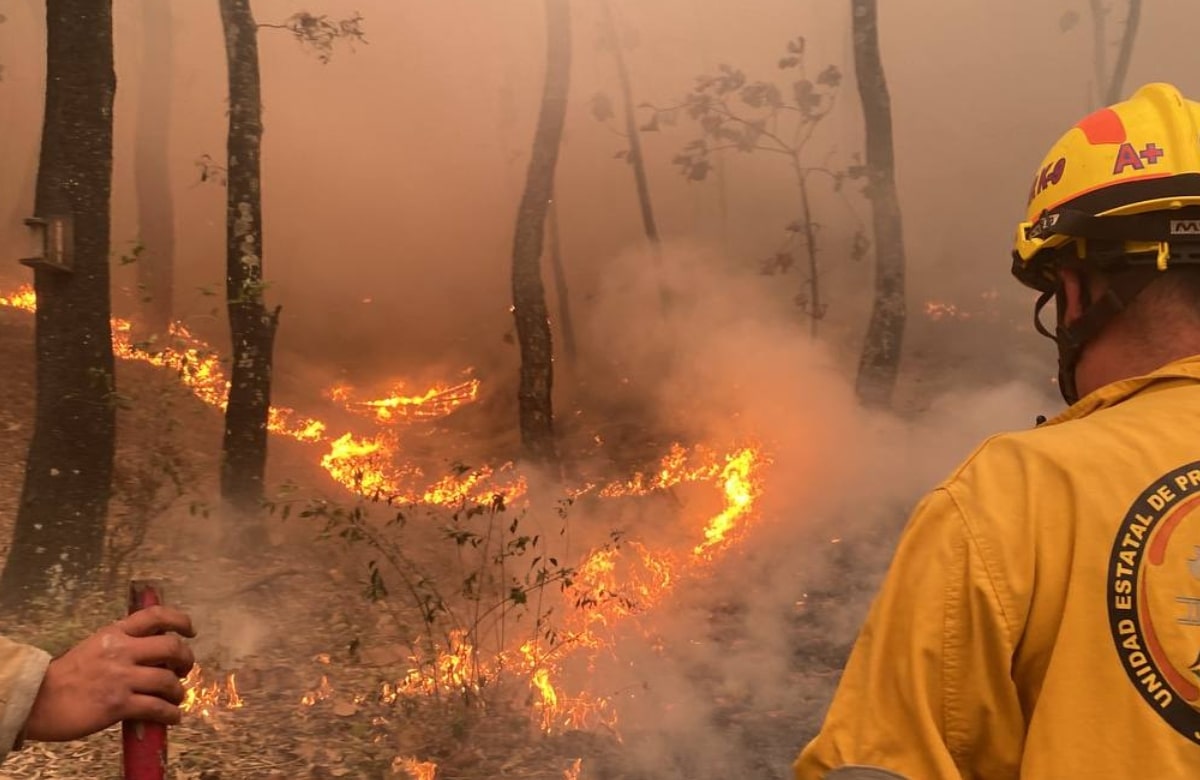 Incendio en Bosque La Primavera ya fue controlado: Alfaro