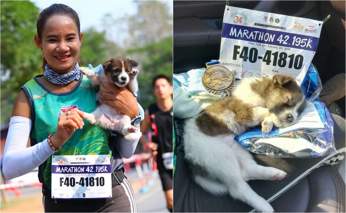 Maratonista rescata a cachorro perdido a media competencia; lo llevó hasta la meta