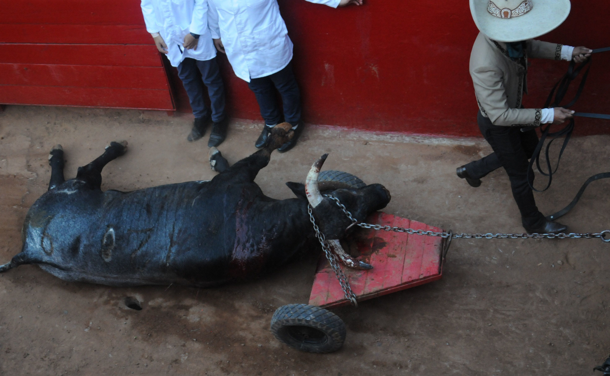 Gobierno de CDMX no descarta consulta por corridas de toros en Plaza México