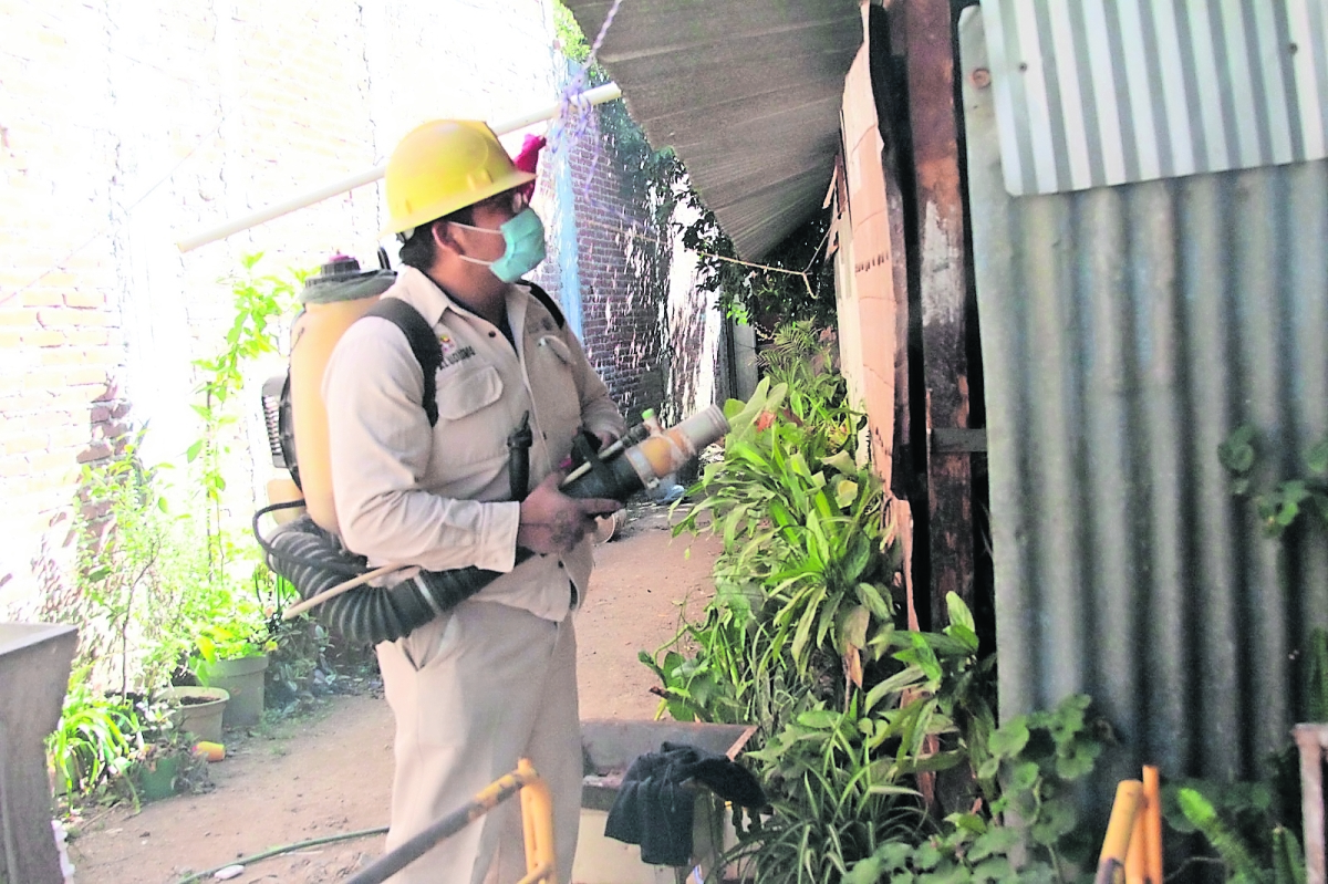 Urgen desde el Senado más acciones para frenar contagios de dengue en Morelos