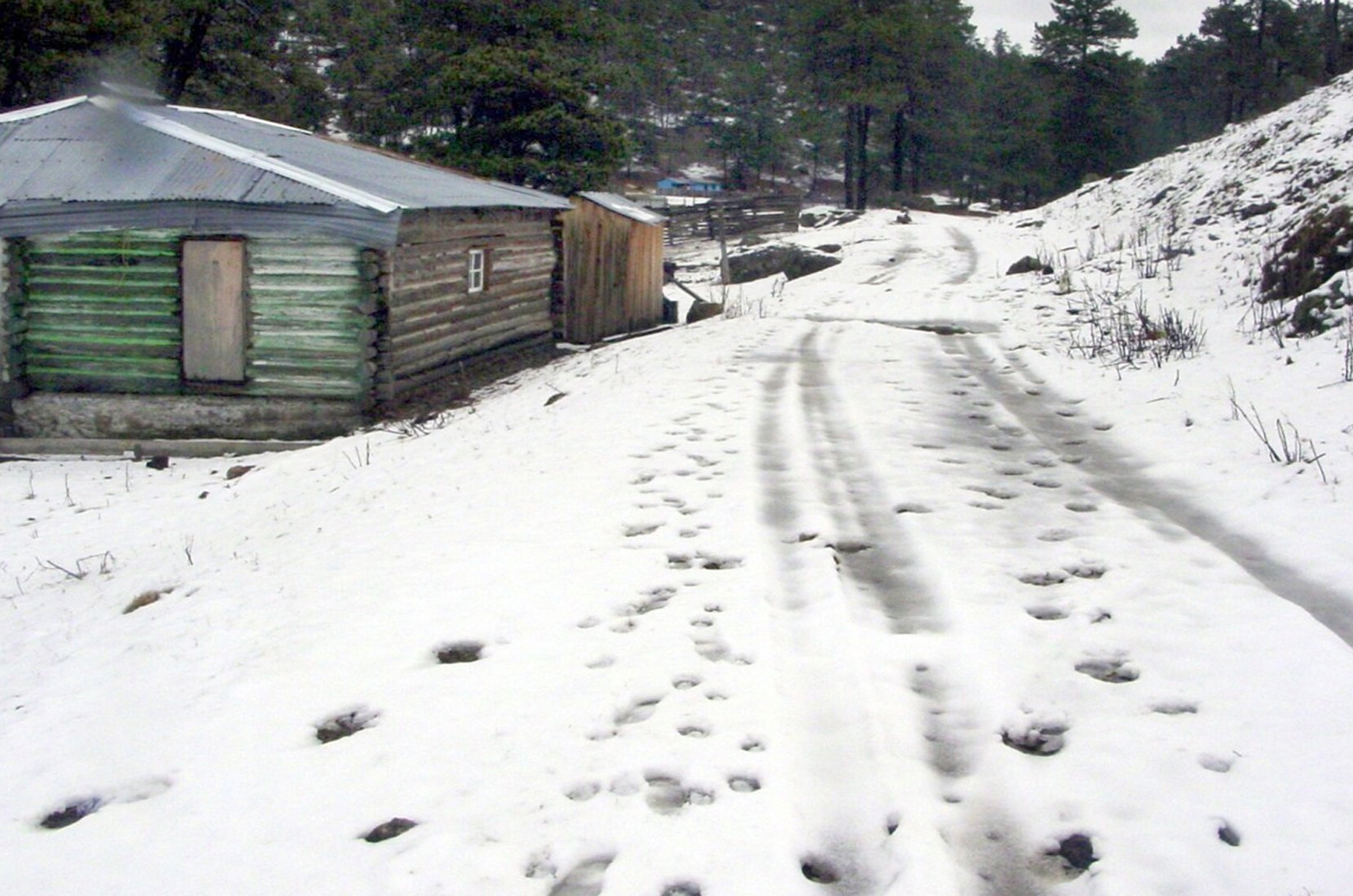 La Rosilla, Durango, registra 12 grados bajo cero