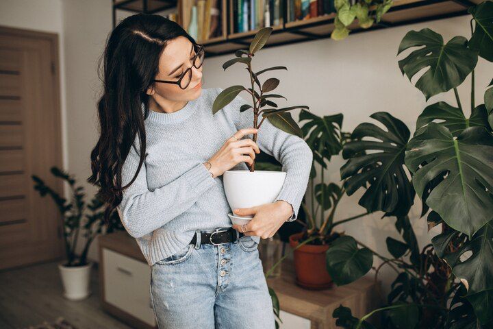 Las plantas emiten sonidos de alta frecuencia cuando están en peligro: expertos