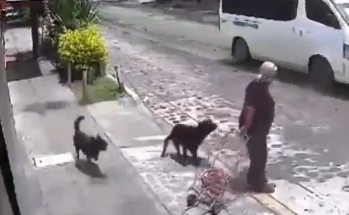“Auxilio, auxilio”: perros atacan a abuelita en Querétaro; video se vuelve viral